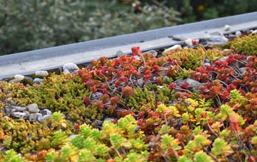 the cost of Llanglydwen green roof installation