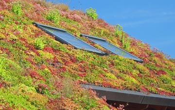 Llanglydwen living roof systems
