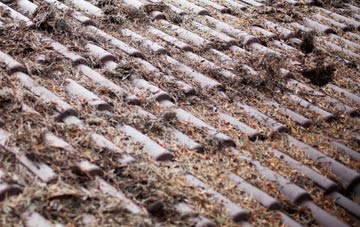 Llanglydwen roof cleaning companies