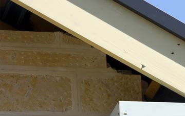 soffit repair Llanglydwen